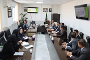 زنگ خطر کاهش موالید در رفسنجان / افزایش موارد سقط عمدی و افت نرخ باروری به ۱.۴۸