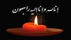 پیام تسلیت سرپرست دانشگاه در پی درگذشت برادر معاون آموزشی دانشگاه علوم پزشکی رفسنجان 