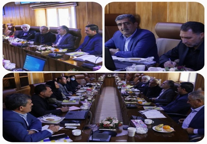 رفسنجان و سیرجان پایلوت مشاوره ژنتیک برای خانواده‌های ناشنوا‌